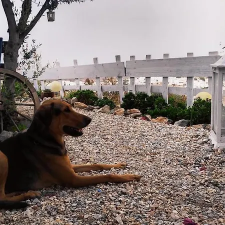 게스트하우스 Prickly Pear House