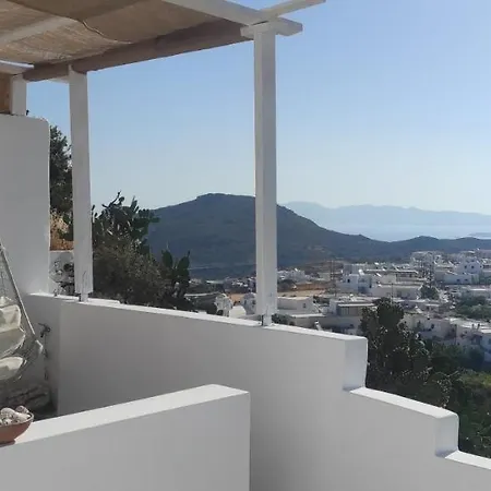 게스트하우스 Prickly Pear House 4*