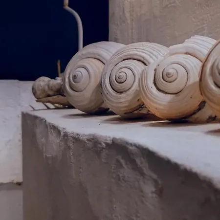 게스트하우스 Prickly Pear House