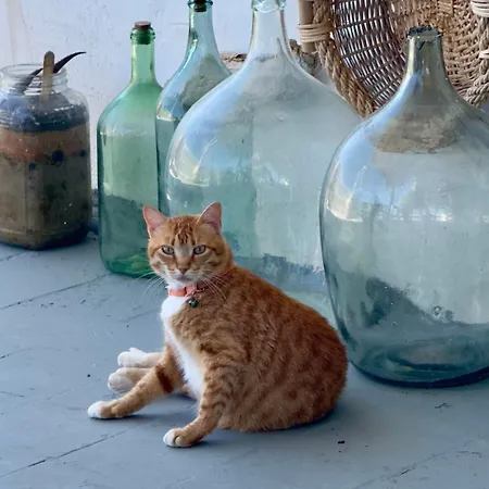 Prickly Pear House 4* 플라카