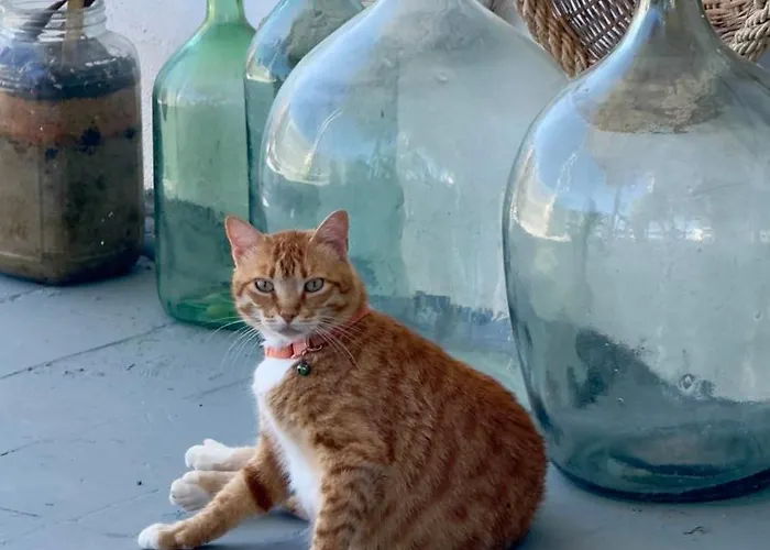 Prickly Pear House 4* Plaka (Milos)