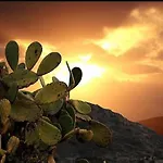 Prickly Pear House Pensionat