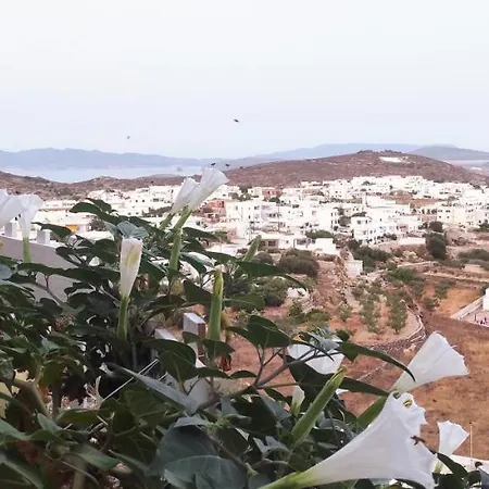 Gasthuis Prickly Pear House Plaka (Milos)