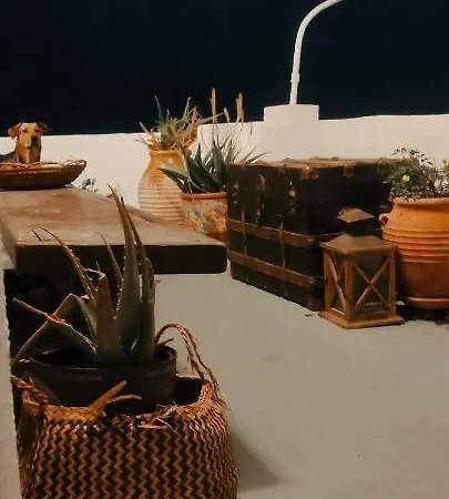 Gasthuis Prickly Pear House