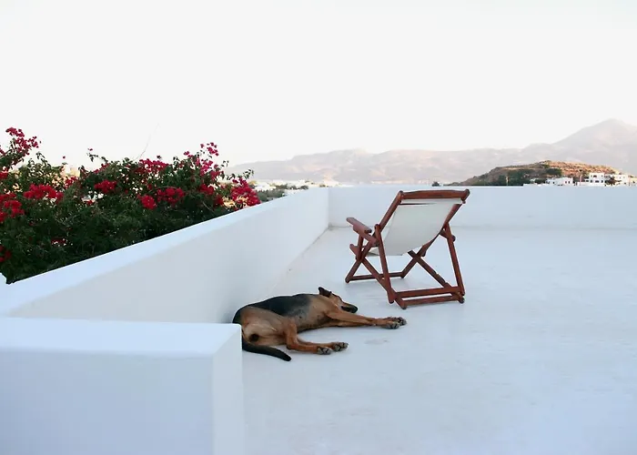 Prickly Pear House Plaka (Milos)