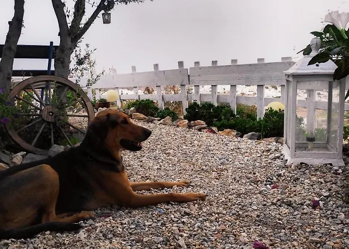 Gasthuis Prickly Pear House