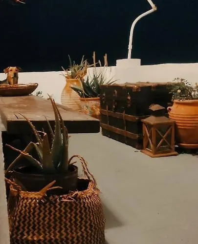 Pensionat Prickly Pear House