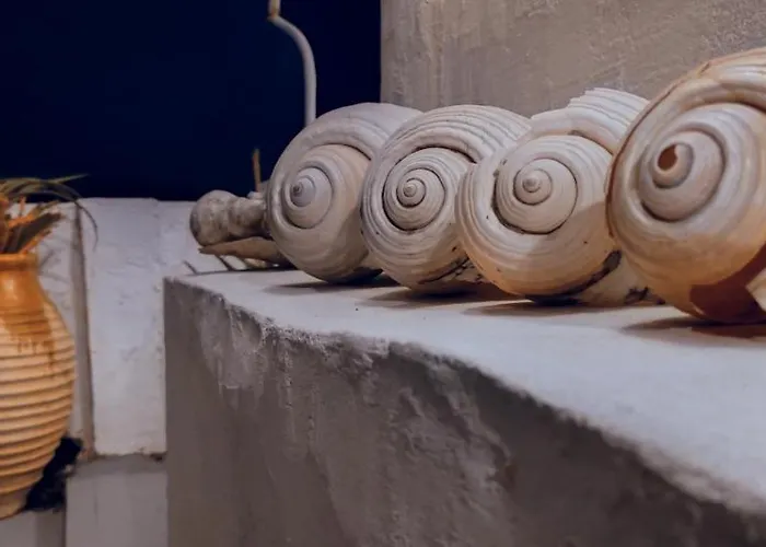 Gasthuis Prickly Pear House